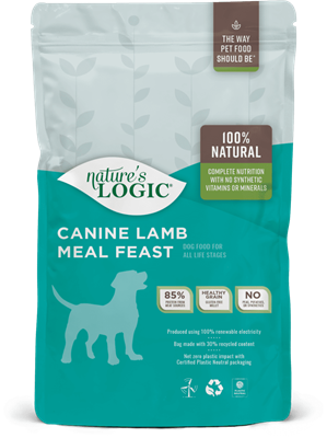 NL Dog Lamb 13#